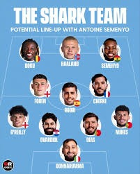 才木浩人、村上颂树双王牌主宰央联 阪神写最快封王传奇｜日职