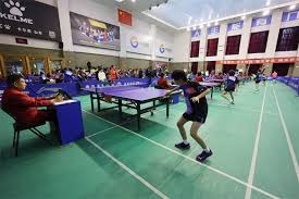 棒球与智慧场馆：解析5G网络对球场内数万人即时交互的支撑