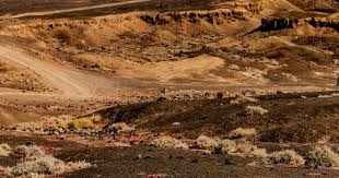 科贝尔：我认为丢球不是我的问题，巴萨是一个强