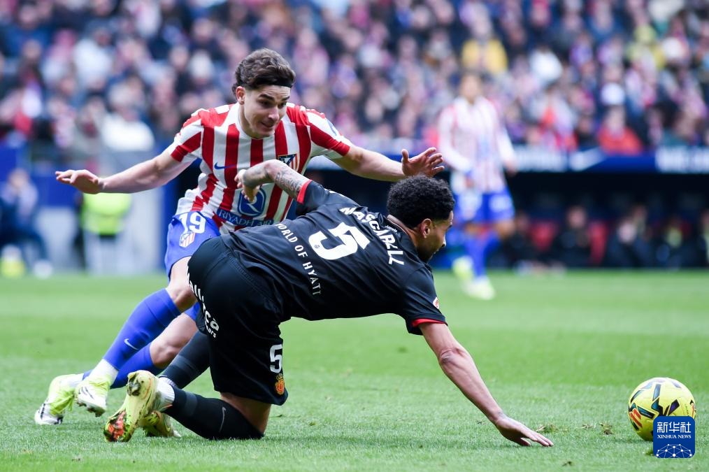 话中有话？张本智和黑脸：很多事自己不想说，下一站照样冲击冠军